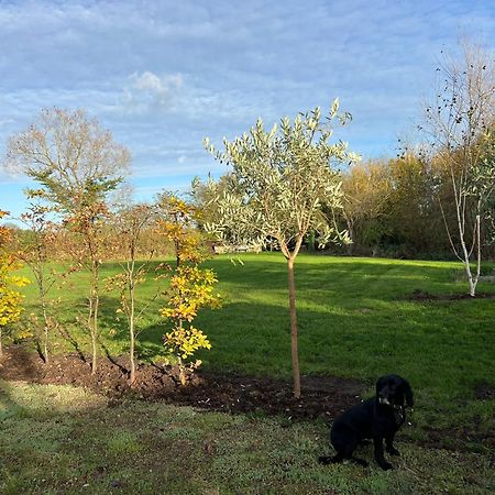 Вілла Idyllic Secluded Hideaway With Countryside Views On The Edge Of The Cotswolds Hailey Екстер'єр фото