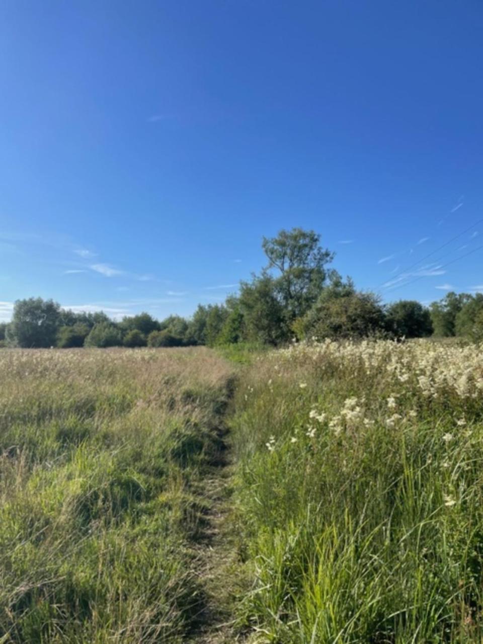 Вілла Idyllic Secluded Hideaway With Countryside Views On The Edge Of The Cotswolds Hailey Екстер'єр фото