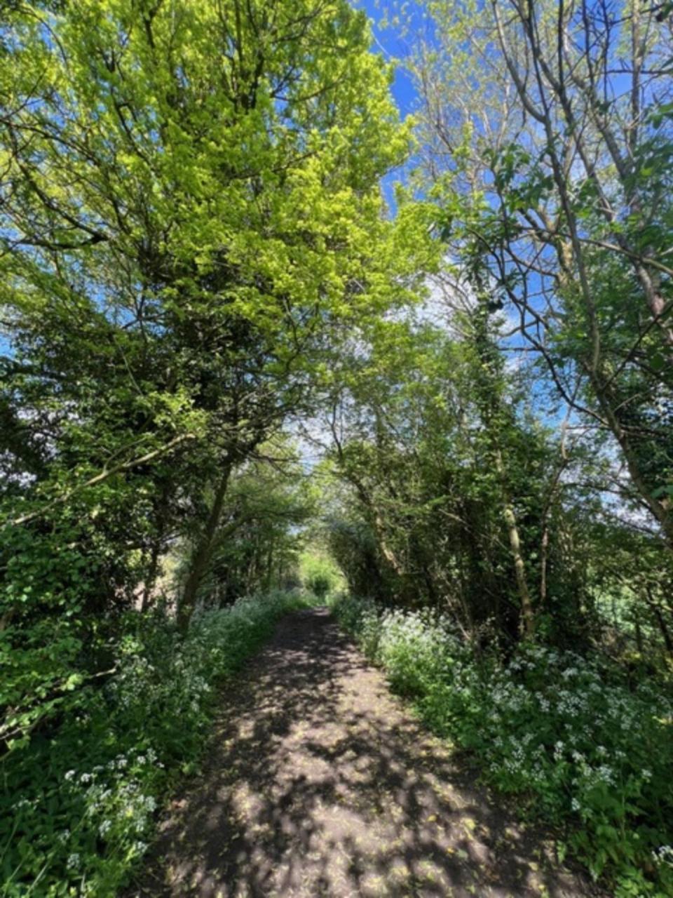 Вілла Idyllic Secluded Hideaway With Countryside Views On The Edge Of The Cotswolds Hailey Екстер'єр фото